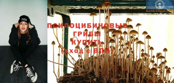 2c-b Майский
