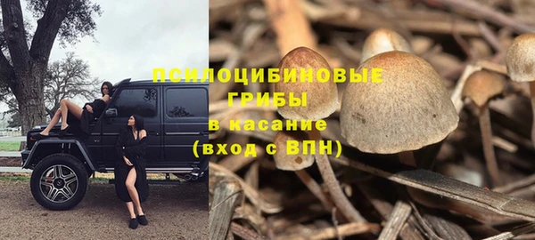 бошки Волгодонск