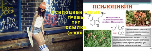 спиды Липки