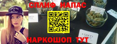 apvp Гусев