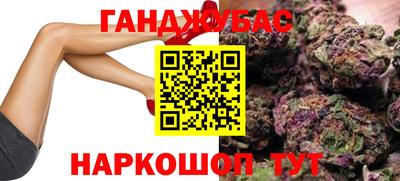 apvp Гусев