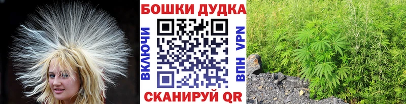 Шишки марихуана марихуана  ссылка на мегу ТОР  Жуковский  магазин продажи наркотиков 